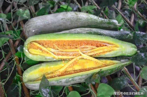 长春网红刘祉辰吃瓜,吃瓜成瘾,揭秘娱乐圈幕后风云 第1张 长春网红刘祉辰吃瓜,吃瓜成瘾,揭秘娱乐圈幕后风云 第1张