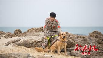 神犬小七第三季在线免费观看 第2张 神犬小七第三季在线免费观看 第2张